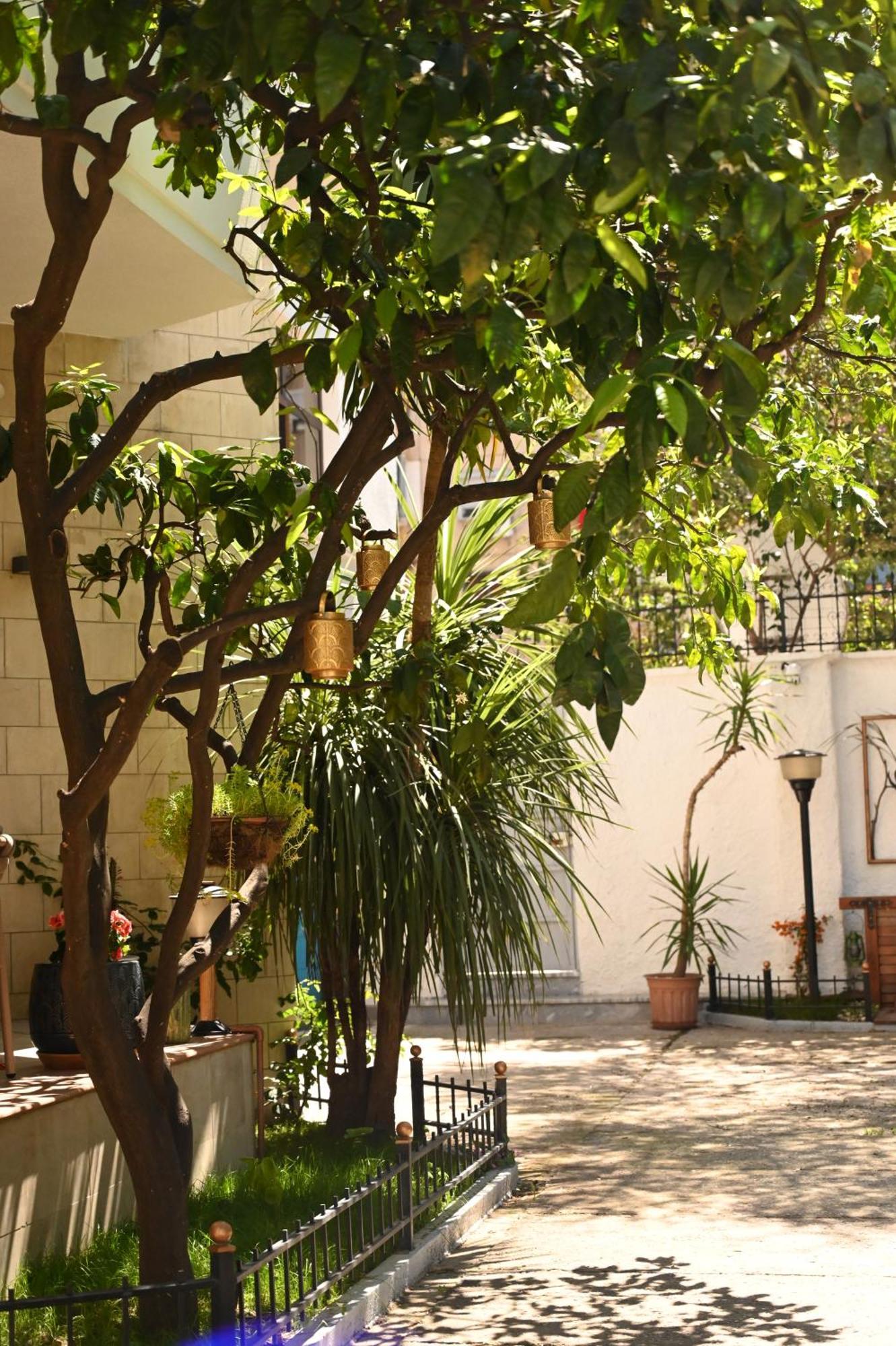 Niche Boutique Hotel Τίρανα Εξωτερικό φωτογραφία
